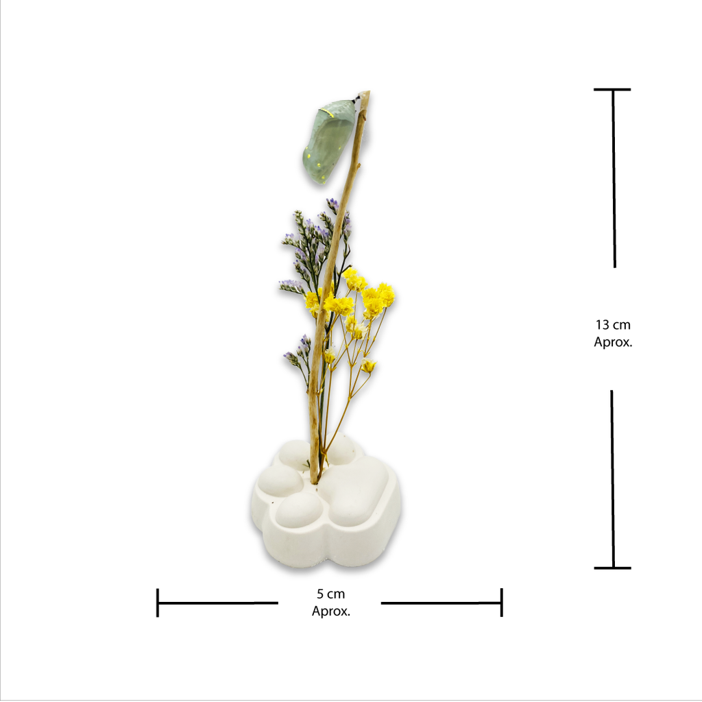 Pupa Especial Mascotas