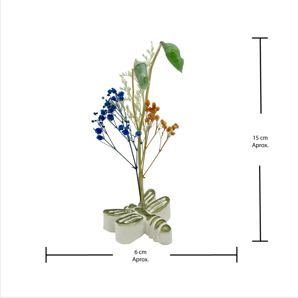 Pupa Especial Mascotas