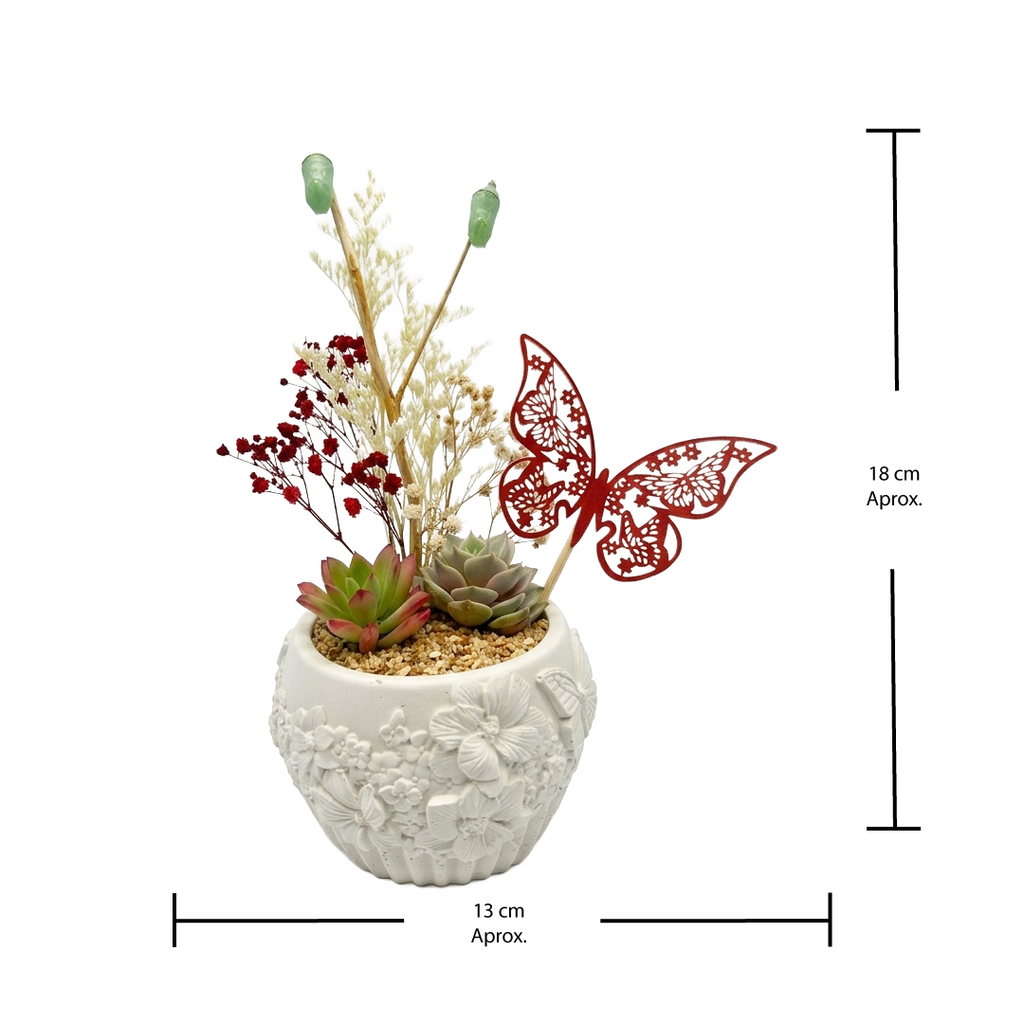 Natural + Crisalida de Mariposa