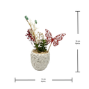 Natural Flores + Crisalida de Mariposa