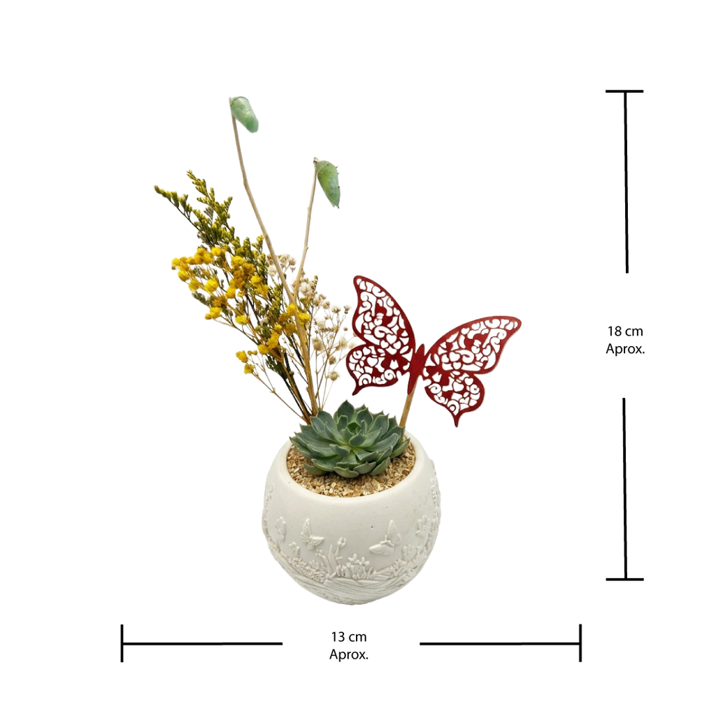 Natural Flores + Crisalida de Mariposa