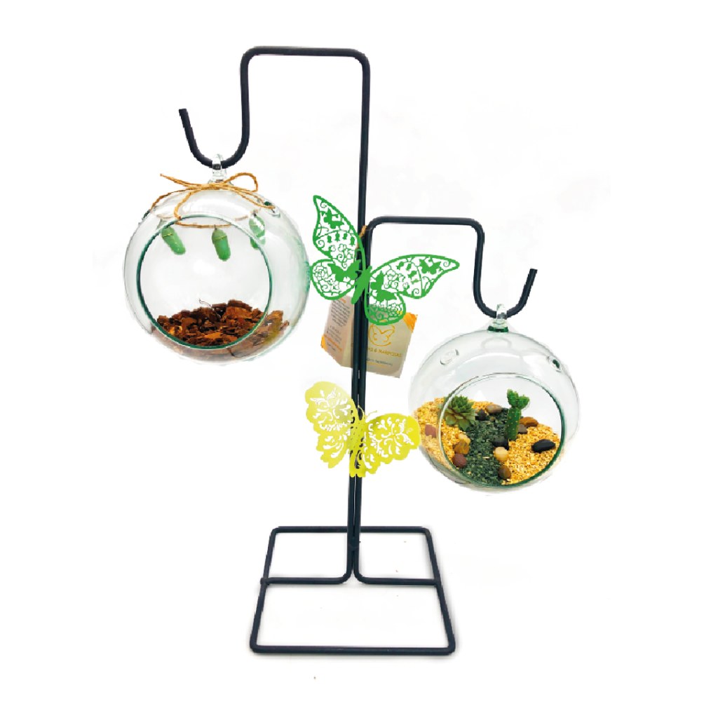 Terrario Sublime Árido