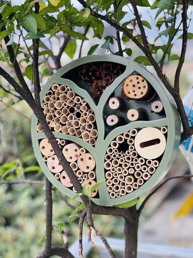 Hotel Árbol de Vida